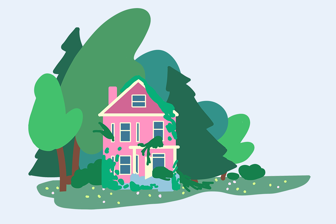 Drawing of a house in a lush green scene. Within an architectural planning drawing with measurements of a story window. By Spinner Design