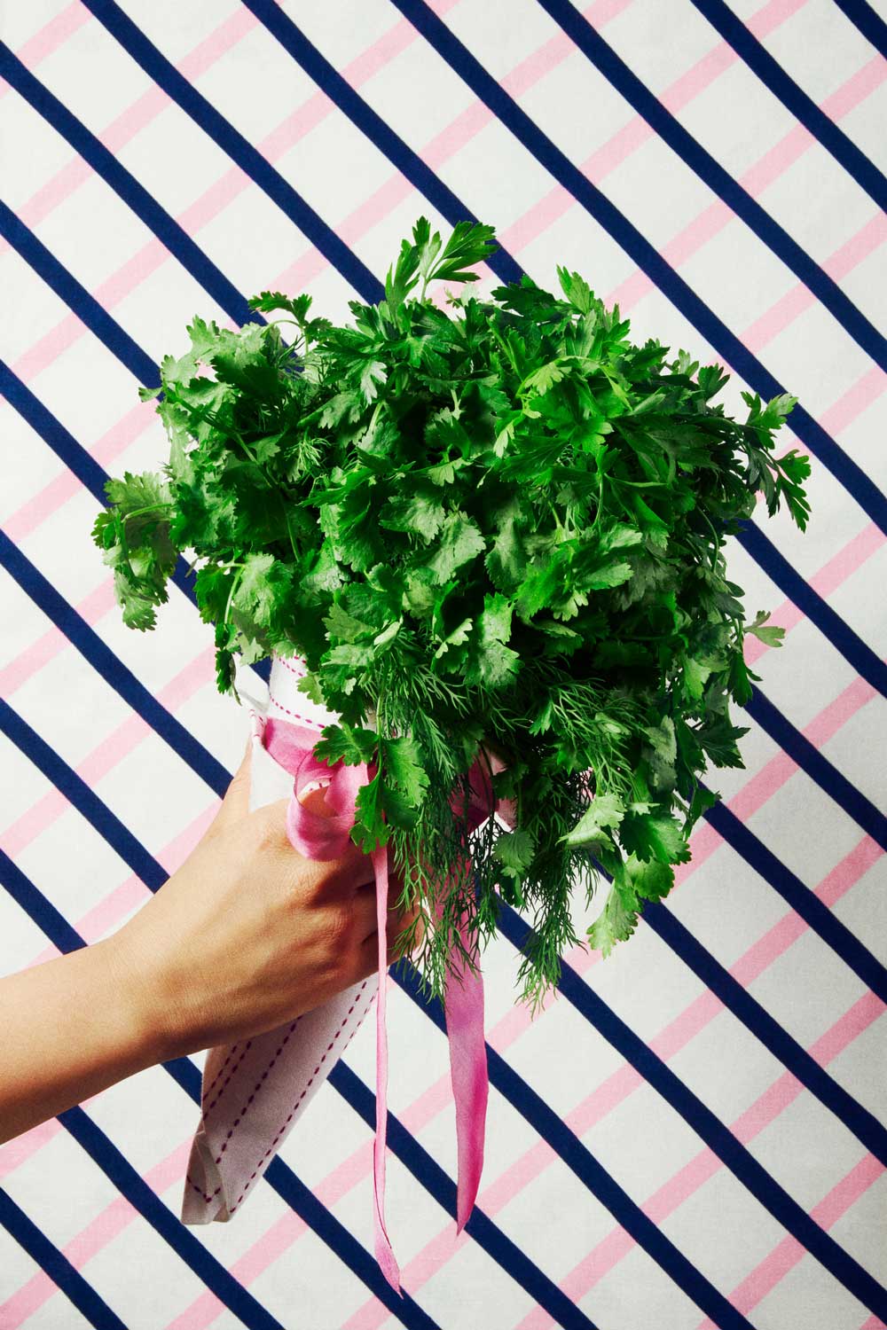 A bouquet of cilantro held by a hand as part of a project for a independent book called You Care Too Much by Spinner Design